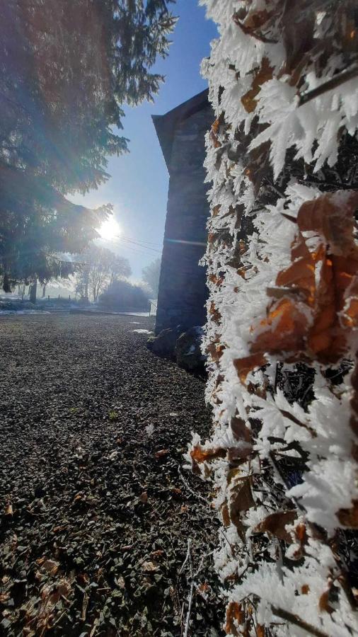Les 12 Bois Du Cerf Hébergement de vacances